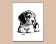 BEAGLE PUPPY Dog Photo Art Illustration Print - 5x7 8x10 or 11x14 (B4)