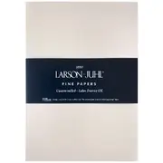 Larson-Juhl DL Envelopes Elation Silver 10 Pack