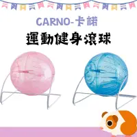 在飛比找蝦皮購物優惠-卡諾CARNO 運動健身滾球12cm 倉鼠滾球 跑球 運動跑