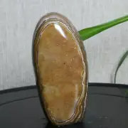 B2993-268g Natural Polished OCEAN JASPER Furnishing articles Freeform Madagasca