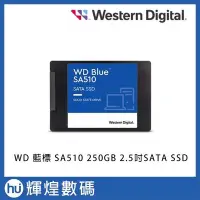 在飛比找Yahoo!奇摩拍賣優惠-WD BLUE 藍標 SA510 250GB 2.5吋SAT