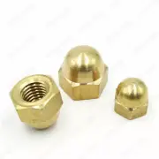 Brass Solid Hex Cap Nuts Hex Acorn Nut M3 M4 M5 M6 M8 M10 M12 M14 M16