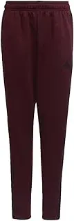 [adidas] Boys' Tiro Track Pants, Shadow Red, Small