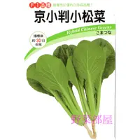 在飛比找蝦皮購物優惠-【萌田種子~】E65 日本京小判小松菜種子1.6公克 , 耐