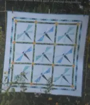 FLUTTER BUGS Quilt Fabric Kit using Batiks from Hoffman & Timeless & MMF -LAST 1