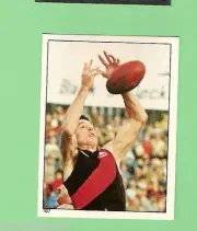 1984 SCANLENS VFL STICKER #107 TERRY DANIHER, ESSENDON BOMBERS