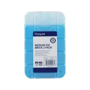 Marquee Medium Ice Brick - Twin Pack