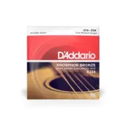 D'Addario EJ24 Phosphor Bronze Acoustic Guitar Strings, True Medium, 13-56