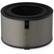 Philips PureProtect Pro 4200 Series HEPA NanoProtect Filter (2 Pack)