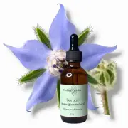 Borage Seed Oil, Cold Pressed, Unrefined, USDA Certified Organic, 100% Pure