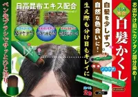在飛比找Yahoo!奇摩拍賣優惠-嘉芸的店 日本白頭髮專用遮蓋染髮筆 昆布 日高 日本染髮刷筆