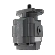 WAL51 SERIES PUMP 19 GPM