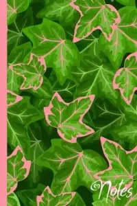 在飛比找博客來優惠-Notes: Pink and Green Ivy Leaf