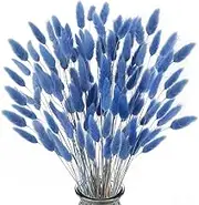 XHXSTORE 120pcs Dried Bunny Tails Flowers Blue Rabbit Tail Grass Lagurus Ovatus Dried Grass Bouquet for Home Wedding Party Table DIY Dry Floral Arrangement Decor (17")