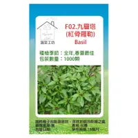 在飛比找PChome24h購物優惠-【蔬菜工坊】F02.九層塔 (紅骨羅勒)種子