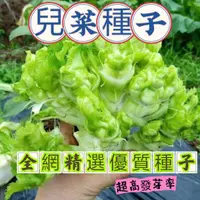 在飛比找蝦皮購物優惠-🍁💥【蝦皮熱銷】蔬菜種子 兒菜種子 四季播種 娃娃菜抱子芥菜