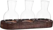 Totority 1 Set Hydroponic Glass Vase with Base Propagation Station for Desk Clear Container for Indoor Plants Low Maintenance Display for Home and Office Decor