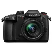 Panasonic Mirrorless SLR Camera LUMIX GH5M2 Standard Zoom Lens Kit DC-GH5M2M