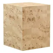 Cosmos 16" Square Burl Wood Side Table