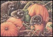 Greeting Card - Raccoon - Wanda Mumm - Thanksgiving - 0130