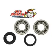 24-1064 ALL BALLS CRANK BEARING AND SEAL KIT