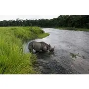 Save 10.00%! 3-Day Chitwan National Park Jungle Safari Tour Package with Pick Up