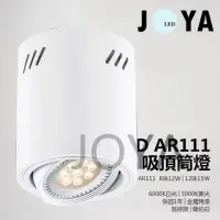 在飛比找PChome24h購物優惠-LED AR111 吸頂筒燈 12W LED投射燈 崁燈 吸