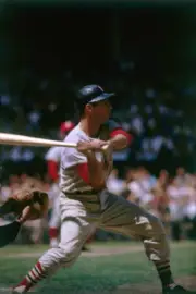 Dick Groat of the St Louis Cardinals up at bat during the 1963 Maj- Old Photo 2
