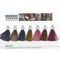 在飛比找蝦皮購物優惠-新包裝買一送一   450ml 韓國彩色護髮染 染後護色 酸