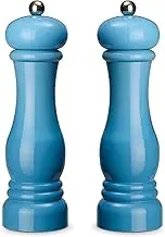 Echtwerk 2-Piece Spice Mill Set, Salt and Pepper Mill Made of high-Quality ABS Plastic, Ceramic Grinder, Manual Mill, Ideal for Spices Such as Pepper, Salt and Chilli, Light Blue, 21 cm