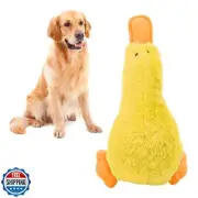 Duck Dog Squeaky Toy, Interactive Teeth Cleaning Plush Dog Chew Toy Companion