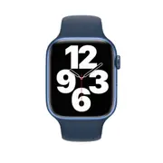 Apple Watch Series 7 (Cellular) 45mm Blue AL Case Blue Band - Premium Grade