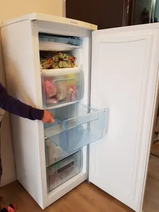 美國Frigidaire富及第 185公升直立式冷凍櫃/冷凍庫/冰箱很新很乾淨/FFU07M1HW