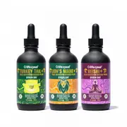 [Lifecykel] Zen Pack - Lion's Mane, Reishi & Turkey Tail, 120ml