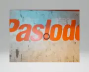 Paslode 092174 O RING (3/4/5000)