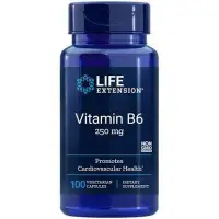 在飛比找Yahoo!奇摩拍賣優惠-Life Extension Vitamin B6 -- 2