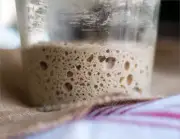 SAN FRANCISCO ORIGINAL SOURDOUGH STARTER YEAST SALLY TANGY SOUR