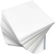 1000 Sheets 4x4 Inch Parchment Paper Squares Non-Stick Pre-Cut Baking Parchment