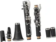 ibasenice Flat Clarinet for Beginners Student Instrument Ergonomic Design Enhanced Sound Quality and Accessories for Practice and Performance Black