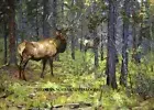 The Herd Bull ~ Elk, Carl Rungius, Landscapes ~ Counted Cross Stitch Pattern