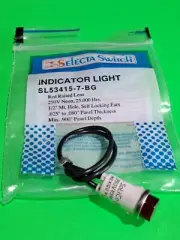 Selecta SL53415-7-BG 250V Red Raised Lens Neon Indicator Light 25,000 Hr. Bulb