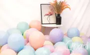 163Pcs Daisy Balloon Garland Arch Kit with White Daisy Flower Reusable.·