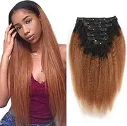 Sassina Ombre Hair Extensions Clip in Human Hair Kinky Straight Style for Black Women Thick Double Wefts Natural Black to 30 Clip in Extensions 120 grams per lot TN30 14 Inch