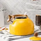 Whistling Kettle Coffee Kettle Anti Rust for Stovetops Gas Electric Induction
