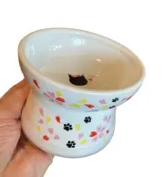 Neco Ichi Raised Ceramic Porcelain Sakura Cat Food Bowl Elevated New in Box