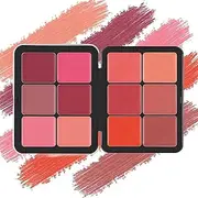 Carla's Secret Cream Blush and Concealer Palette - 12 Colors, Color Correcting Foundation, Long-Wearing Full Coverage Makeup (D)