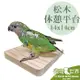 《寵物鳥世界》台灣製 松木休憩平台-單邊鎖-14*14cm│天然原木跳台實木站片啃咬站板架 小型中小型鳥鸚鵡 YU139