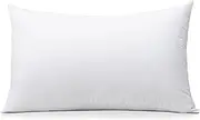 OTOSTAR Throw Pillow Insert, 12 x 20 Cushion Inner Soft Fluffy Plump Stuffer Cushion Pad White Decorative Pillow Insert