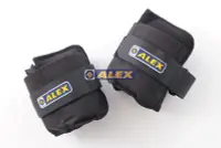 在飛比找Yahoo!奇摩拍賣優惠-每日出貨 ALEX C-4904 沙包型 加重器 綁腿 綁手