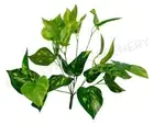 NEW Artificial Flowers/Plants SP0145 Golden Pothos Bunch 2 Sizes 35cm / 41cm